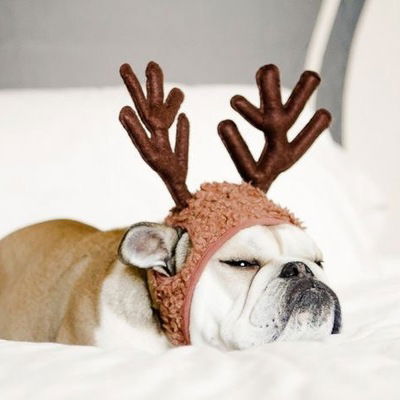 Ярослав Каширский