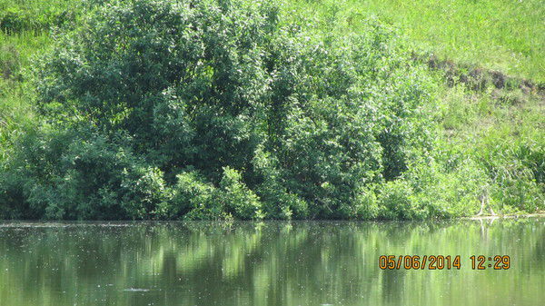 Александр Заходкин