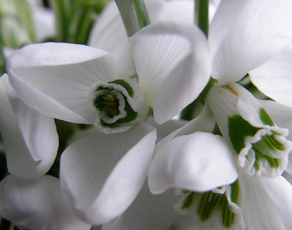 Катерина *******