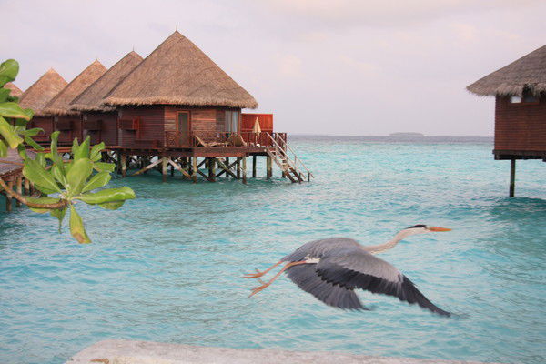 Турагентство Яртурбюро