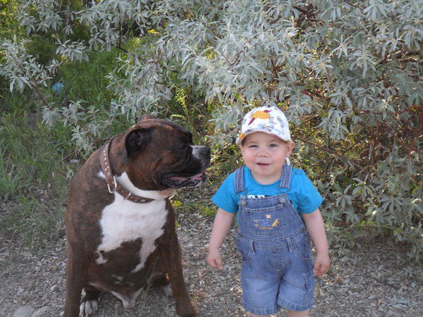 Виталий Алексеев