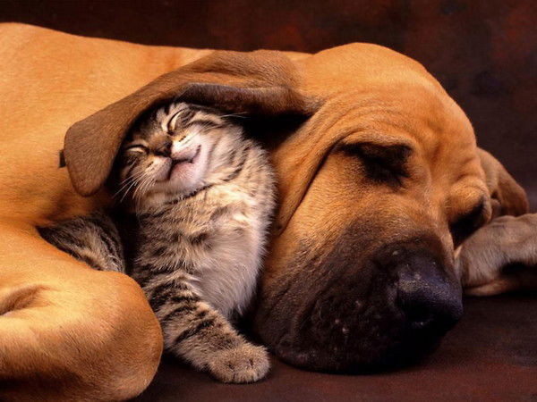 Любовь Анохова