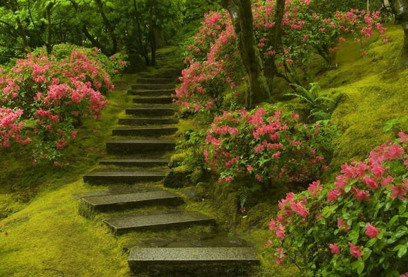 Светлана Минаева