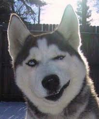 Владимир Кадырбаев