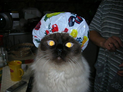 Алексей Западалов