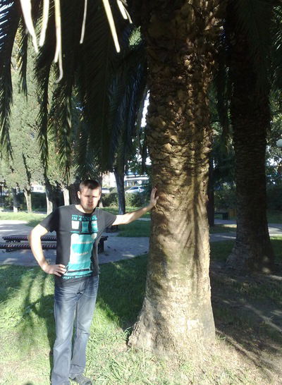 Алексей Николаенко