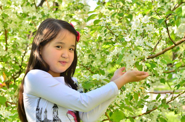 Жангул Хиса