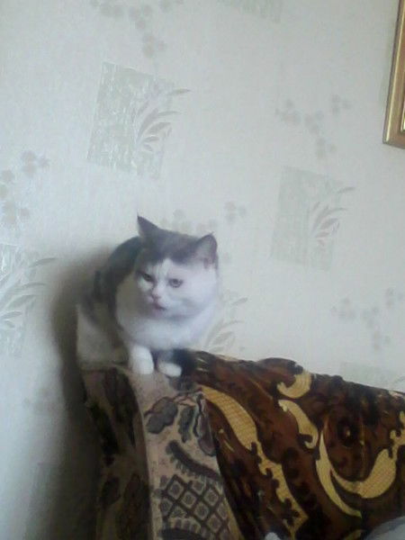 Наталья Белявская