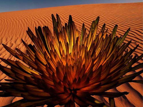 Виктория ****