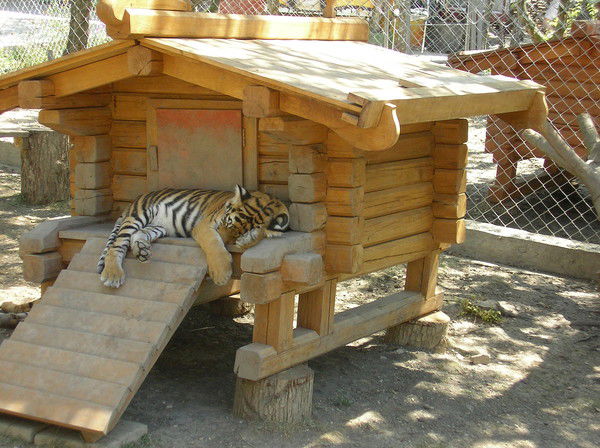 Артур Саноян