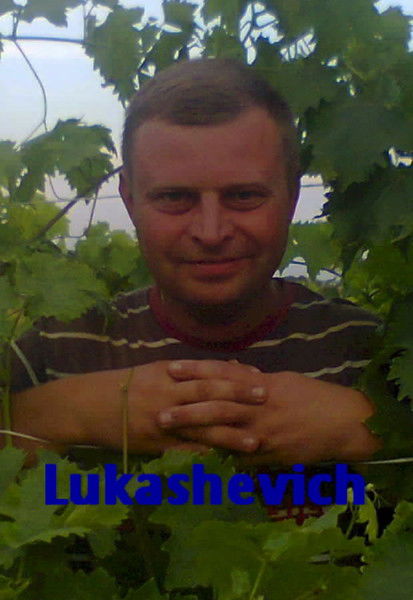 Олександр Лукашевич