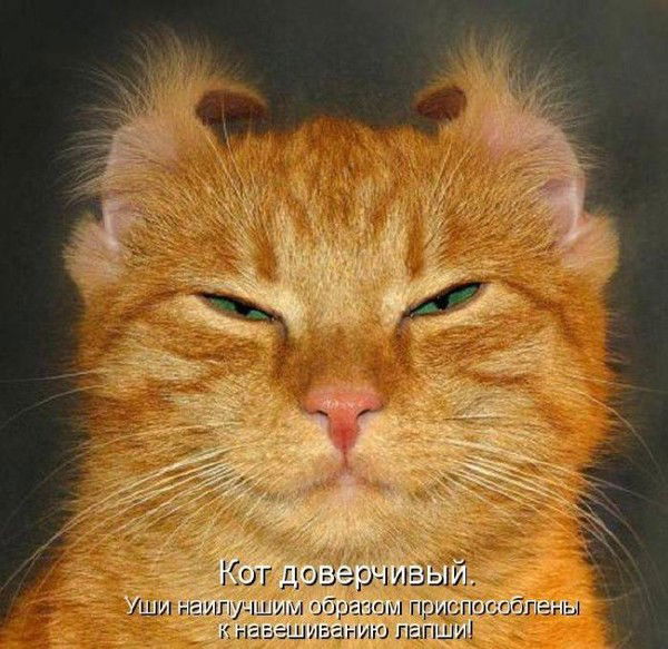 Юра Гладков