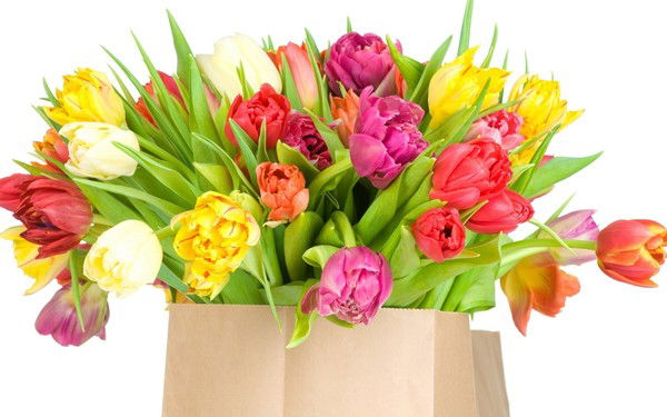 ** Kanikei ** Abdyrazakova))