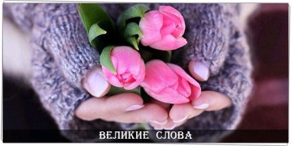 Рысжан Садыкова