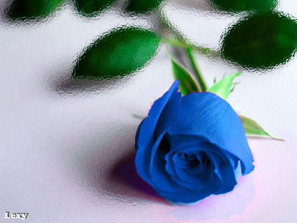 Наталья Симоченко