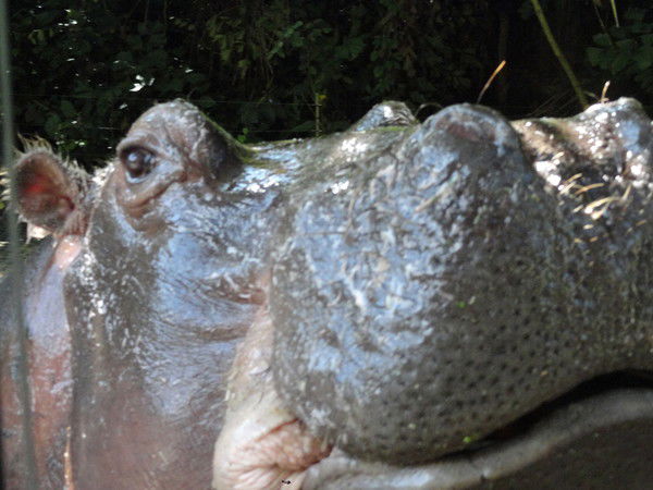 Михаил Столяров