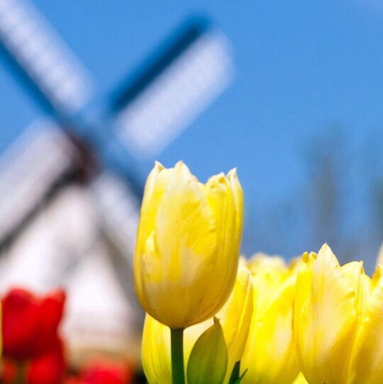 Нннннн Пппп