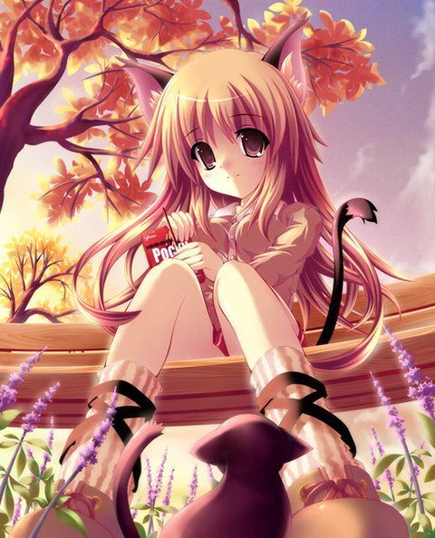 ★Animeshka★ ♥Neko♥≧﹏≦