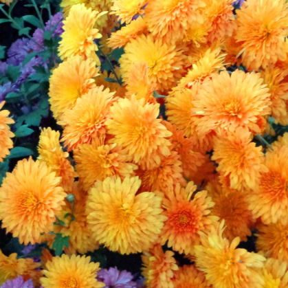 Утегенова Назира