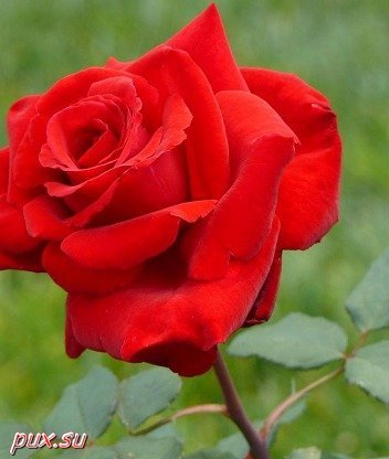 Аккенже Амангельдиевна