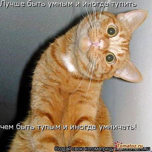 Лариса (Sokolova)