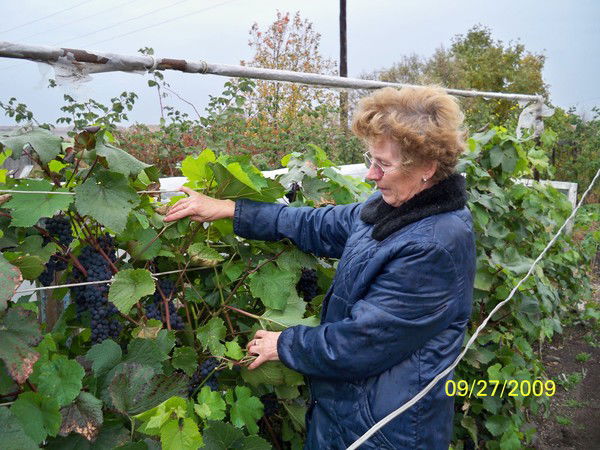 Людмила Халиман