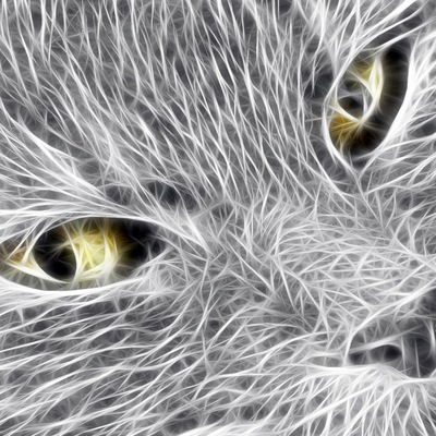 Анастасия Семенец