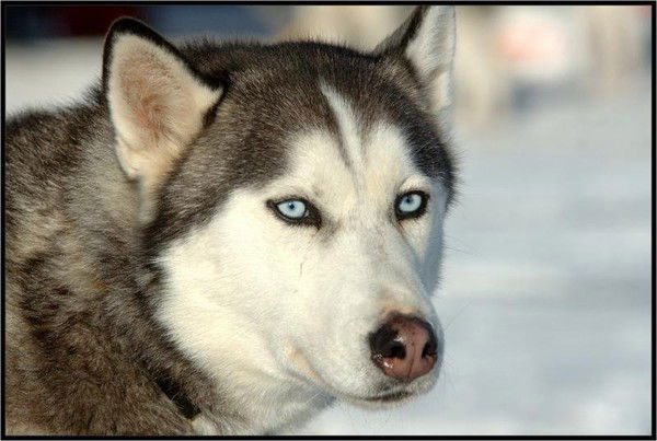 Sanya Зинуков