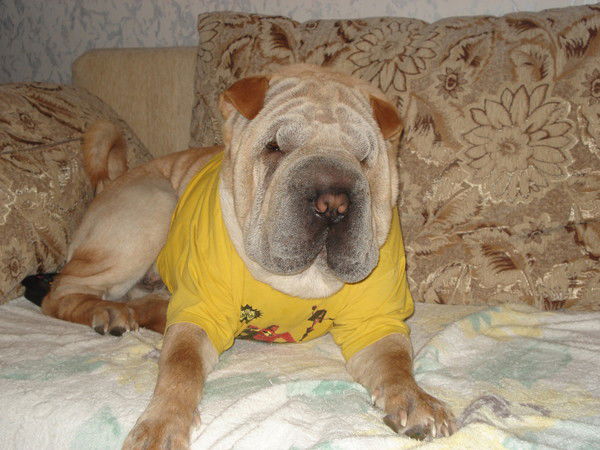 Олег Квасов