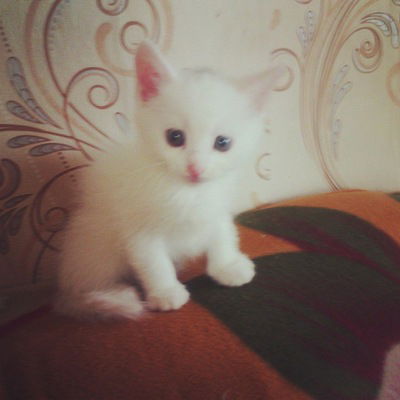 Юля Абатурова