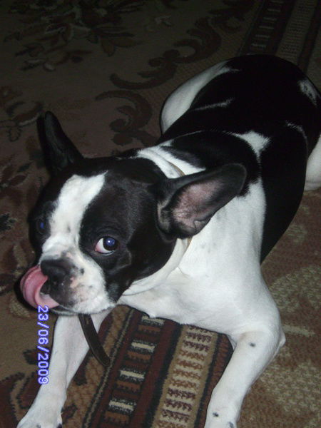 Ольга Маркелова