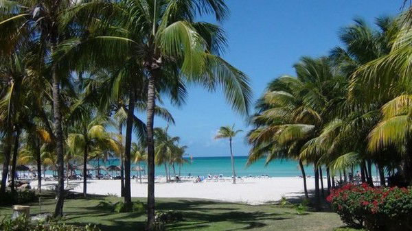 Медея Литвиненко