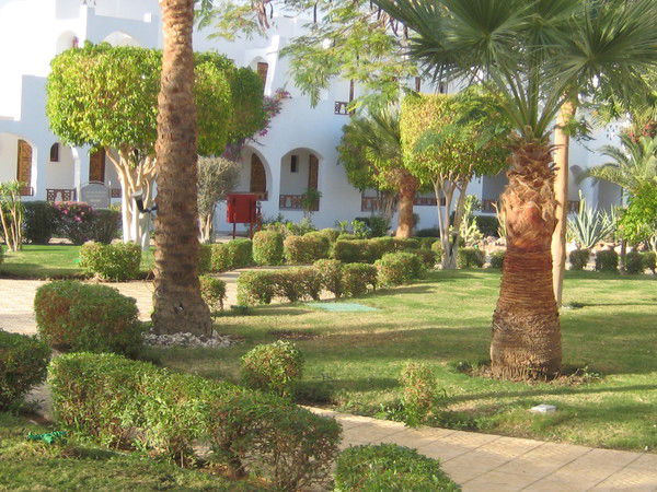 Римма Мухаметдинова