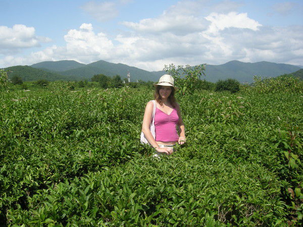 Ангелина Строганова