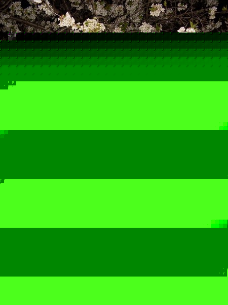 Юрий Чермаков