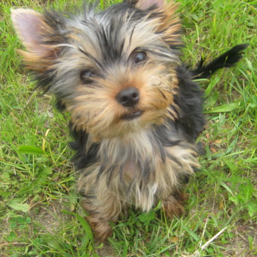 Владимир Мищерук