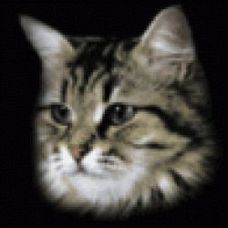 Александр Каленик