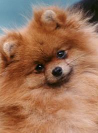 Ирина Семенова