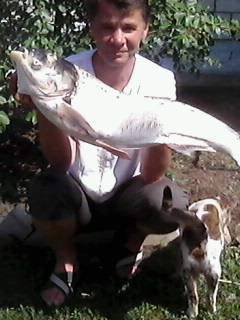 Андрей Наумов