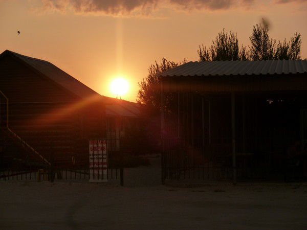 Елена Потапенко