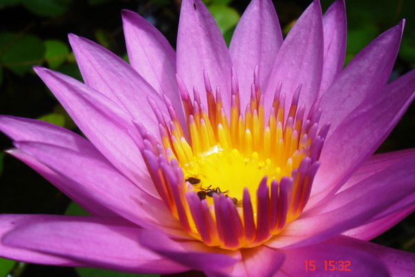 Виктория Сидорова