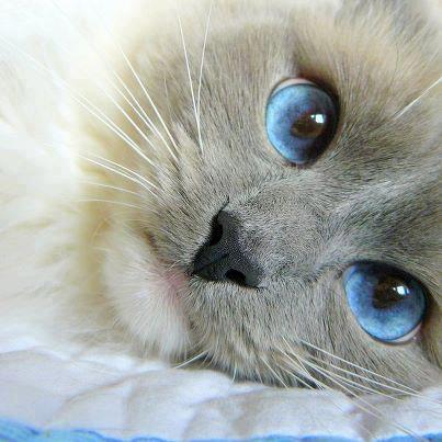 Валентина Вьюнова