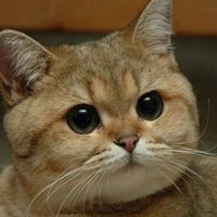 Александр Фёдоров