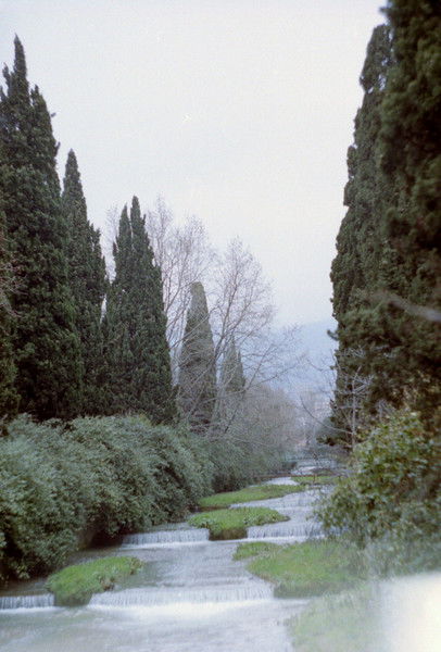 Анна Жигарева