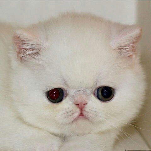 Дарья Сивохина