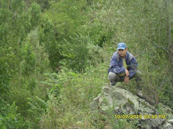 Жылдызбек Халибеков