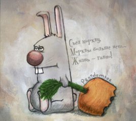 Сергей Медведев