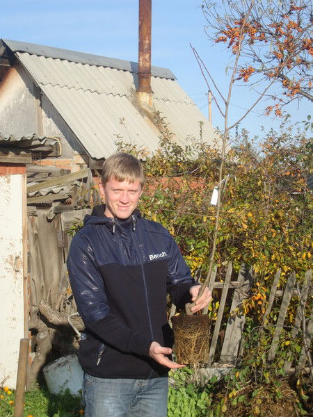 Николай Герасимов