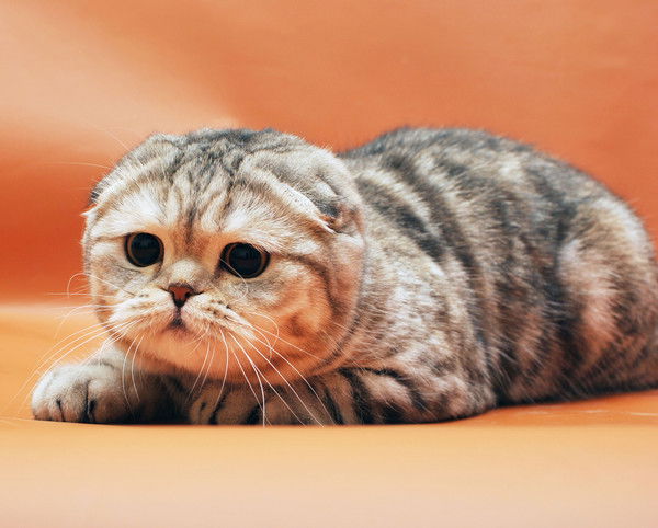 Юля Коврешкина