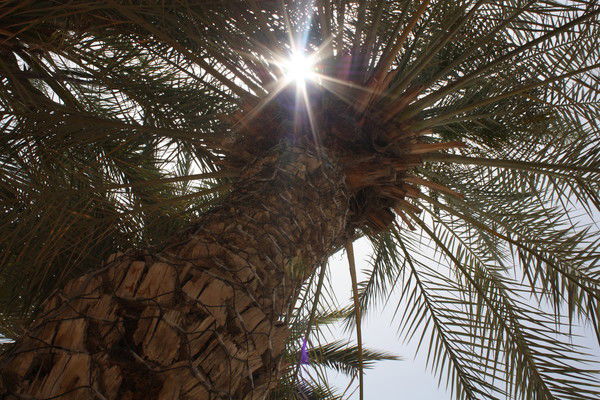 Марина Достовалова